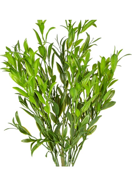 Yapay Çay Demeti Koyu Yeşil 55 Cm. fiyatları