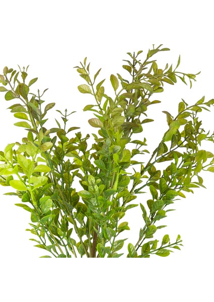 Yapay Bitki Şimşir Demet Kızıl/yeşil 55 Cm. fiyatları