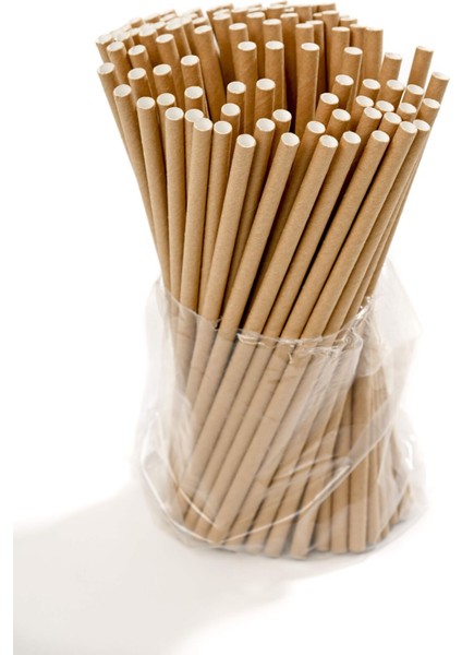 Kağıt Pipet Kraft Sargısız 8X195 mm 100 Adet indirimleri