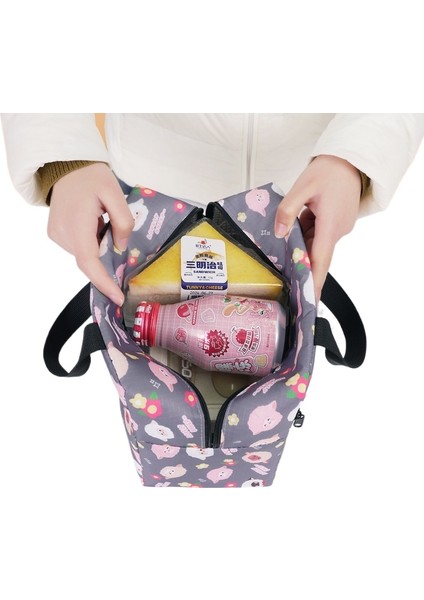 Renkli Moda Öğle Yemeği Çantası Küçük Çanta Taşınabilir Fermuarlı Pirinç Çantası El Çantası Kalınlaştırılmış Alüminyum Folyo Taze Koruma Yalıtımlı Öğle Yemeği Kutusu (Yurt Dışından) fiyatları