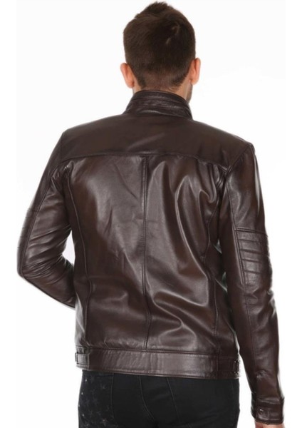 Hakiki Deri Kahverengi Clark Hakim Yaka Erkek Deri Ceket fırsatları