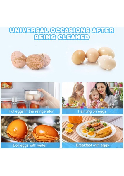 Taze Yumurtalar Için Yumurta Temizleme Fırçası Silikon Yumurta Temizleme Fırçası Yumurta Temizleyici Fırça Döner Yumurta Yıkayıcı Tekrar Kullanılabilir (Yeşil) (Yurt Dışından) fırsatları