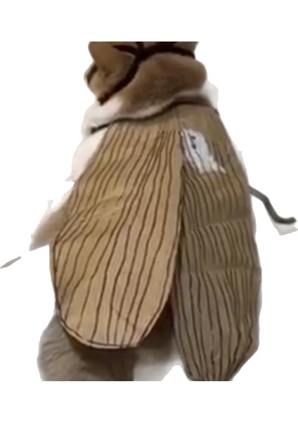 Hamamböceği Kedi Kıyafetleri Yaratıcı Komik Sahne (Yurt Dışından)