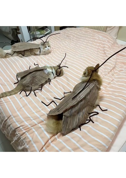 Hamamböceği Kedi Kıyafetleri Yaratıcı Komik Sahne (Yurt Dışından) fiyatları