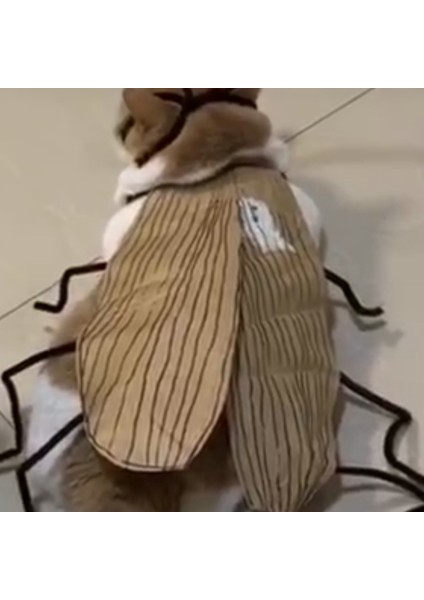 Hamamböceği Kedi Kıyafetleri Yaratıcı Komik Sahne (Yurt Dışından) fırsatları