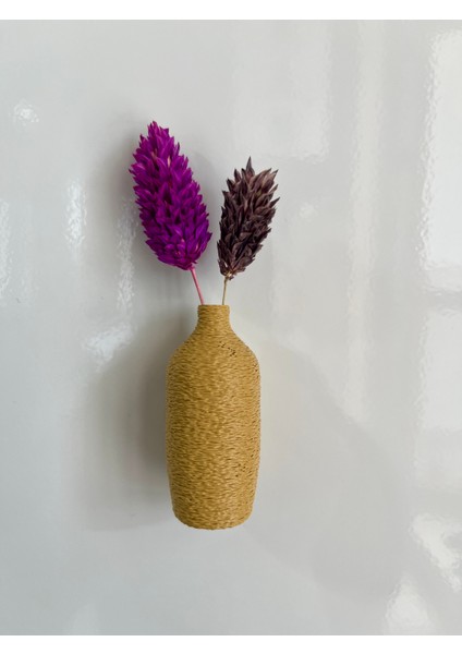 Miniflora - 5'li Magnetli Mini Vazo - Sütlü Kahve