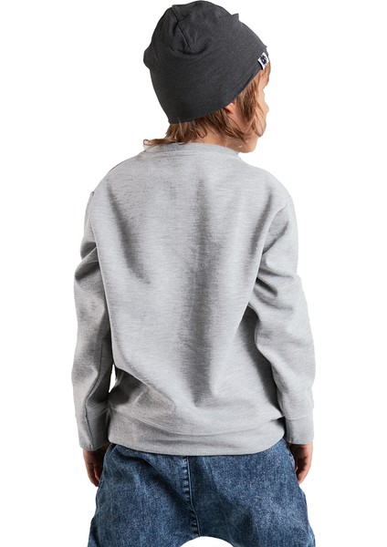 Roar Erkek Çocuk Gri Sweatshirt fiyatları
