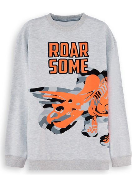 Roar Erkek Çocuk Gri Sweatshirt modelleri