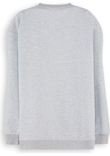 Roar Erkek Çocuk Gri Sweatshirt fırsatları