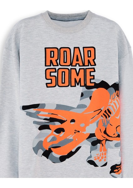 Roar Erkek Çocuk Gri Sweatshirt indirimleri