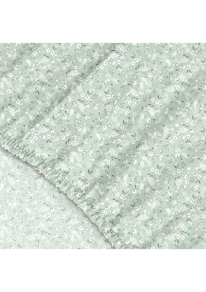 Dalya %100 Pamuk Çift Kişilik Lastikli Çarşaf Seti Mint - 160X200+30 cm fırsatları
