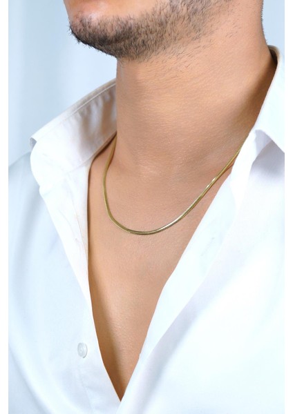 14 Ayar Altın Italyan Balıksırtı Zincir Erkek Kolye 2,50 mm fırsatları