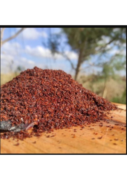 Isot 100 Gram fiyatları