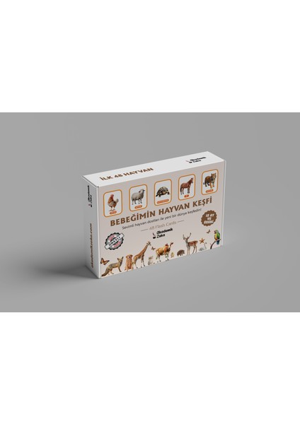 6 Yaş Etkinlik Seti ve Hayvanlar, Meyveler, Sebzeler Zeka Kartları indirimleri