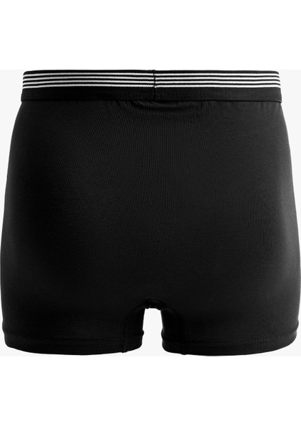 Lastik Detaylı Pamuklu 3'lü Boxer Seti modelleri