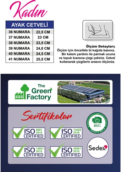 Taba Renk, Anatomik Taban, Cırtlı, Kadın Terlik (Comfort, Flexsibil Esneklik)