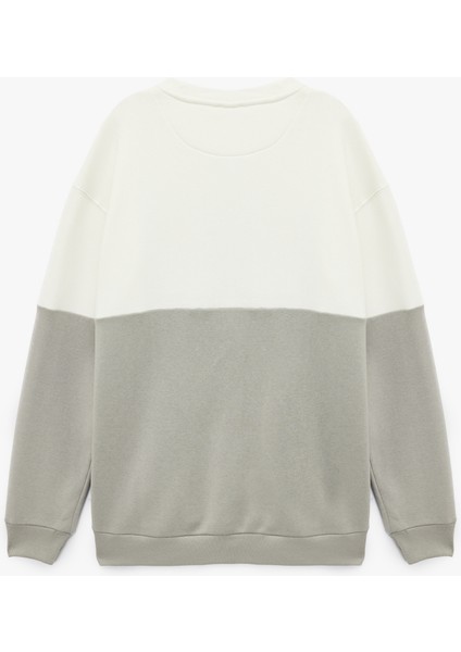 Oversize Uzun Kollu Renk Bloklu Baskı Detaylı Bisiklet Yaka Sweatshirt fiyatları