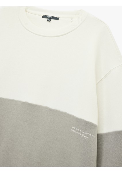 Oversize Uzun Kollu Renk Bloklu Baskı Detaylı Bisiklet Yaka Sweatshirt modelleri