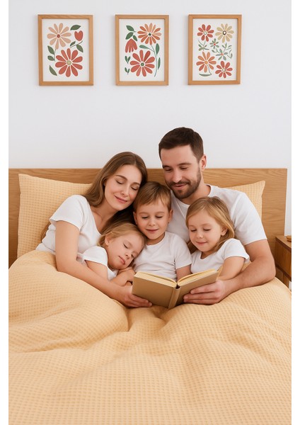 Mont Blanc Organik Pıke Kumaşından Nevresim Takımı Çift Kişilik Kahve modelleri