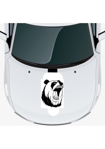 Kükreyen Ayı Oto Kaput Sticker 40 x 48 cm