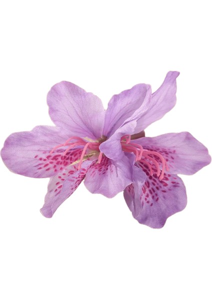 Awaytr Bohemia Canna Çiçekleri Samll Saç Klipleri Hawaii Gelin Çiçekleri Saç Klipsleri Düğün Saç Aksesuarları Için Ette: C (Yurt Dışından)