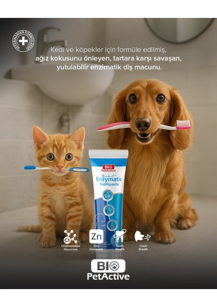 Biodent Kedi Diş Macunu 100 ml + Diş Fırçası 3 Lü fiyatları