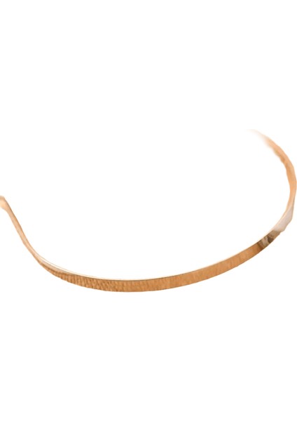 5pcs 2/4/6/8/10MM Paslanmaz Çelik Donuk Gümüş Renk Düz Boş Düz Saç Bant Kafa Bandı Dıy Saç Takı Aksesuarları Craftsmetal Renk: Gümüş 2mm (Yurt Dışından)