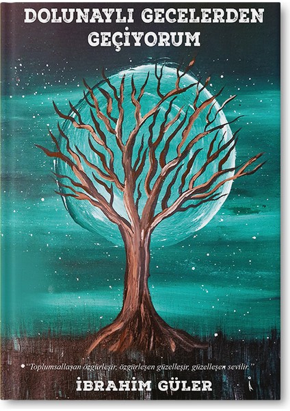 Dolunaylı Gecelerden Geçiyorum fiyatları