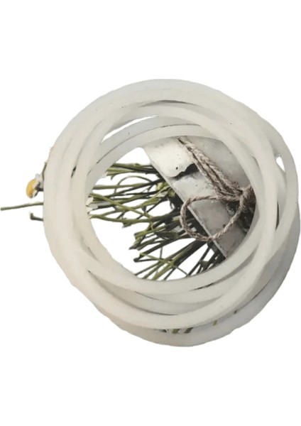 10PCS Kadın Moda Şekeri Renkli Kauçuk Saç Bantları Elastik Saç Bağları Silikon Saç Bandı Scrunchies Bilezik Kız Aksesuarları Renk: Renk 10 (Yurt Dışından)