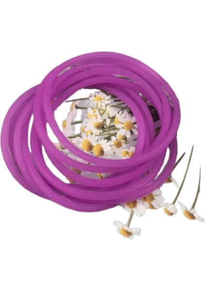 10PCS Kadın Moda Şekeri Renkli Kauçuk Saç Bantları Elastik Saç Bağları Silikon Saç Bandı Scrunchies Bilezik Kız Aksesuarları Renk: Renk 6 (Yurt Dışından)