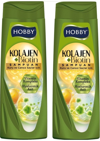 Şampuan Keratin Kafein Kuru ve Cansız Saçlar Hyaluronik Asit 480 ml x 2 Adet