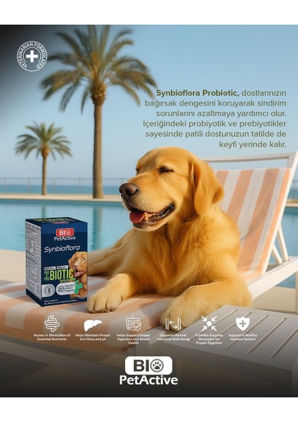 Biotic Probiyotik Prebiyotik Büyük ve Orta Irk Köpek Için 60 Tablet 72 gr fiyatları