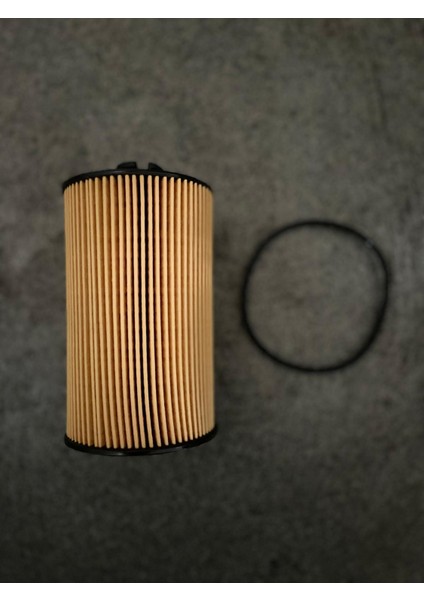 0009831671 Yağ Filtre