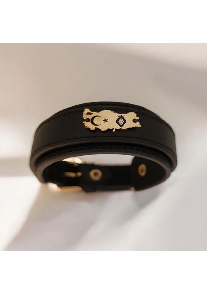 14 Ayar Plakalı Altın Kral Aslan Temalı Siyah Derili Türkiye Haritalı Hediye BILEKLIK-440SEMBOL