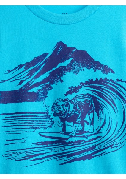 Erkek Çocuk Açık Mavi Grafik Baskılı T-Shirt modelleri