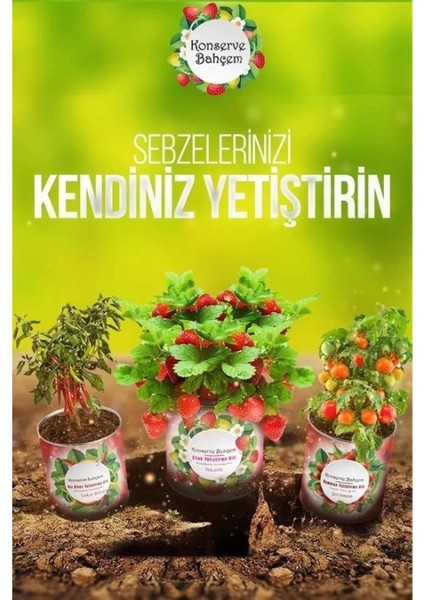 Konserve Bahçem Evde Konservede Havuç Yetiştirme Büyütme Kiti modelleri