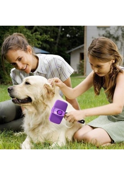 Otomatik Temizlenebilen Tuşlu Pratik Kedi Köpek Tüy Toplama Fırçası fiyatları