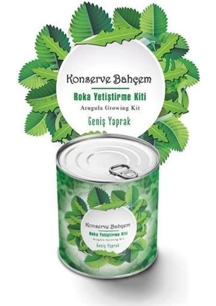 Konserve Bahçem Evde Konservede Iri Yapraklı Roka Yetiştirme Kiti