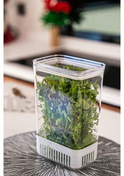 Dikdörtgen Yeşillik Saklama Kabı (2 Adet )- Maydonoz,dereotu,tere Roka Yeşillik Sebze Kabı modelleri