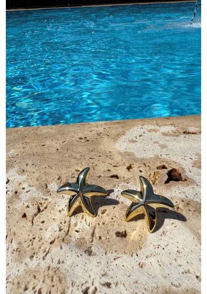 Midi Denizyıldızı Küpe Gold fiyatları