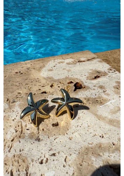 Midi Denizyıldızı Küpe Silver