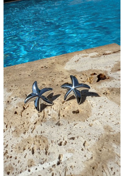 Midi Denizyıldızı Küpe Silver modelleri