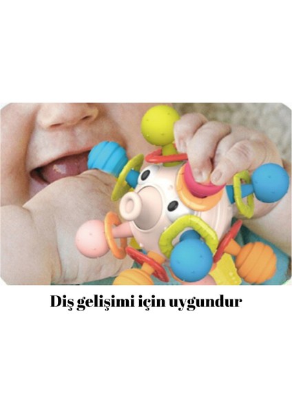 Dönen Kirpi Balığı Diş Kaşıyıcı indirimleri