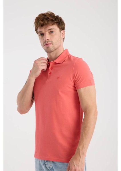 Erkek Polo Yaka Tişört fiyatları