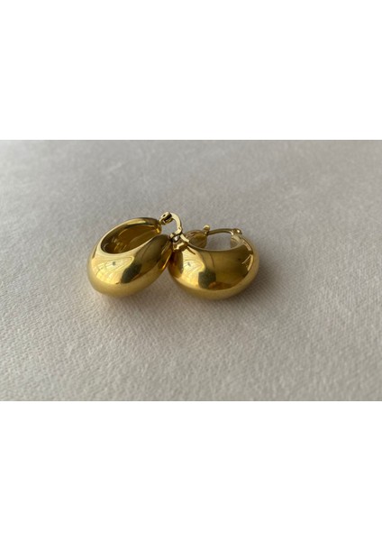 Kadın Gold Renkli Bombeli Çelik Midye Küpe