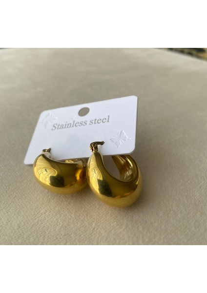 Kadın Gold Renkli Bombeli Çelik Midye Küpe fiyatları