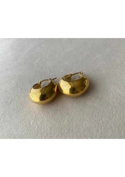 Kadın Gold Renkli Bombeli Çelik Midye Küpe modelleri