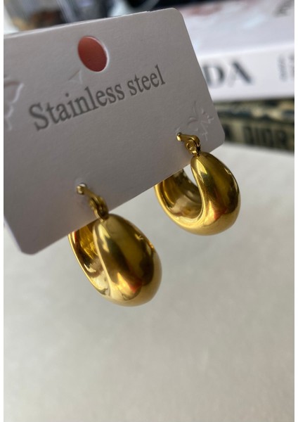 Kadın Gold Renkli Bombeli Çelik Midye Küpe fırsatları