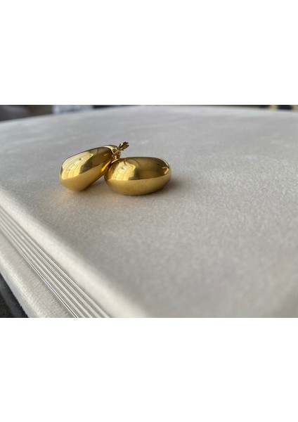 Kadın Gold Renkli Bombeli Çelik Midye Küpe indirimleri