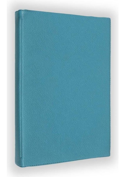 Fluo Surf 4g Universal Dönerli Standlı Tablet Kılıfı Turkuaz fiyatları